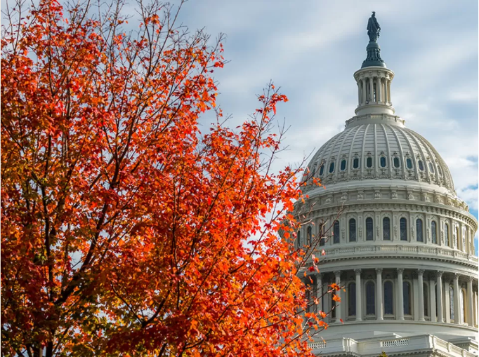 The US Capitol dome in autumn, framed by a tree with bright orange and red fall foliage against a partly cloudy sky